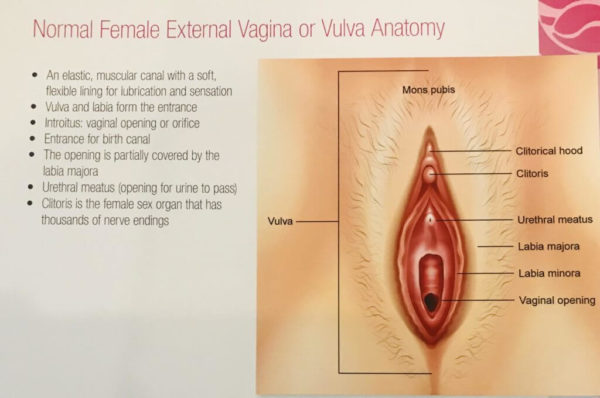 Gynecology Camarillo